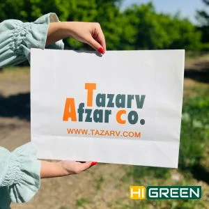 ساک دستی کاغذی همه چیز