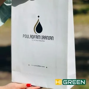 ساک دستی کاغذی ایرانیان