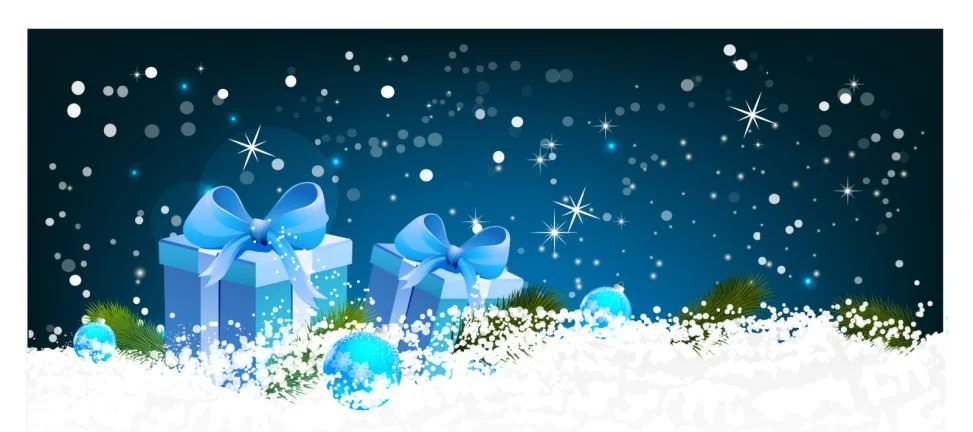 کیسه تبلیغاتی پارچه ای برای هدیه